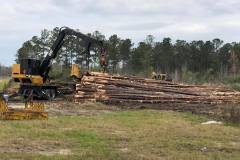 gray-contracting-land-clearing-south-carolina-3