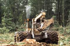 logging-crews-1