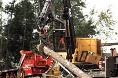 logging-crews-4