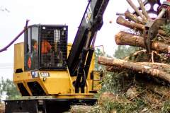 logging-crews-5